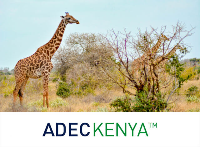 ADEC Innovations Academy Learning Management System